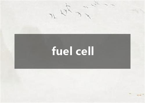 fuel cell是什么意思