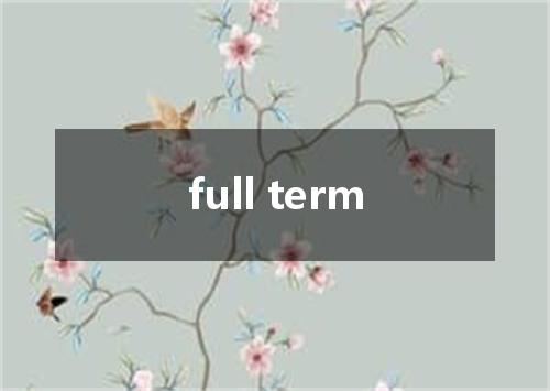 full term是什么意思