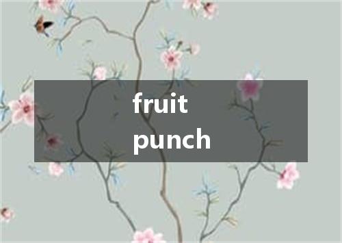 fruit punch是什么意思