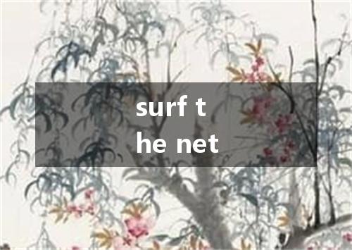 surf the net是什么意思