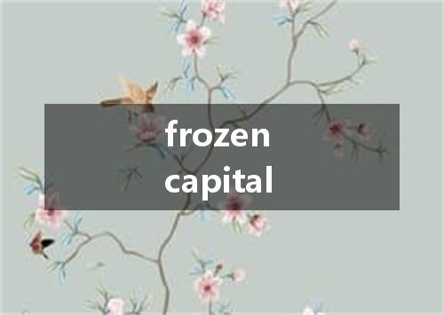 frozen capital是什么意思
