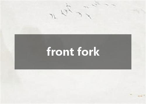 front fork是什么意思