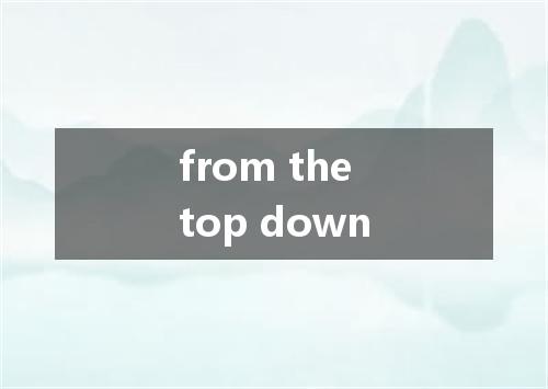 from the top down是什么意思