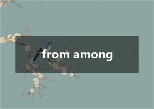 from among是什么意思