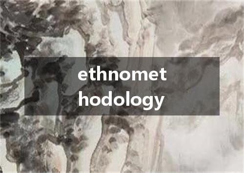 ethnomethodology是什么意思