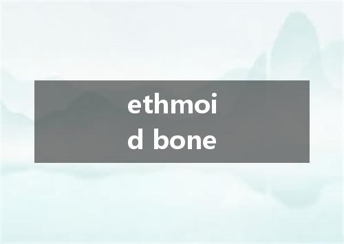 ethmoid bone是什么意思