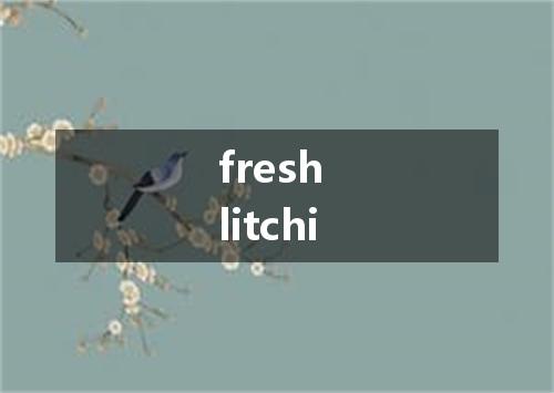 fresh litchi是什么意思