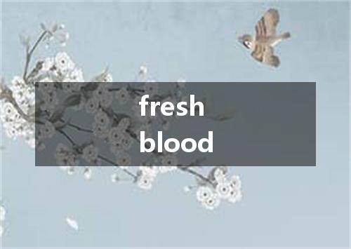 fresh blood是什么意思