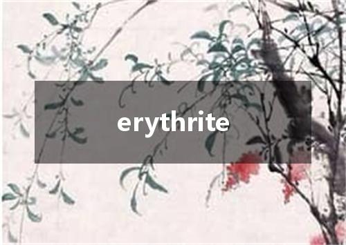 erythrite是什么意思