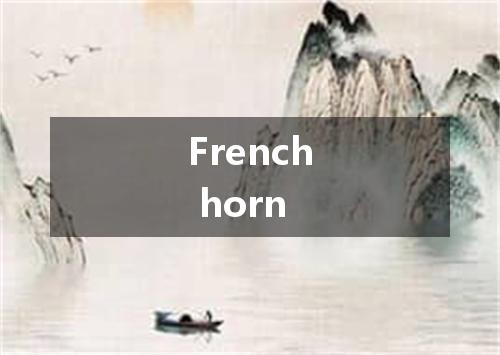 French horn是什么意思