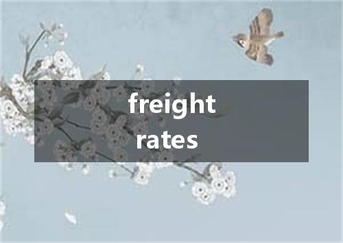 freight rates是什么意思