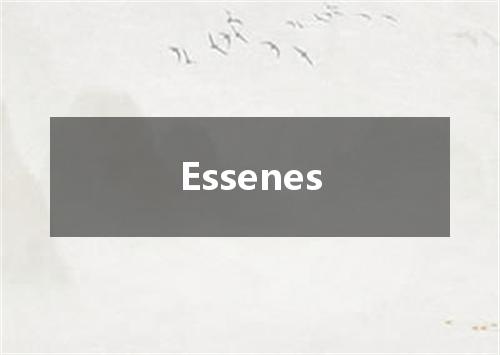 Essenes是什么意思