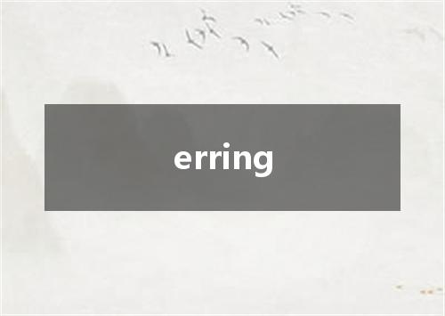 erring是什么意思