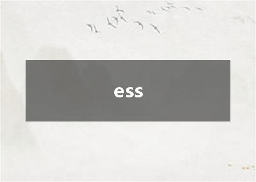 ess是什么意思