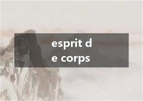esprit de corps是什么意思
