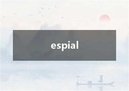 espial是什么意思