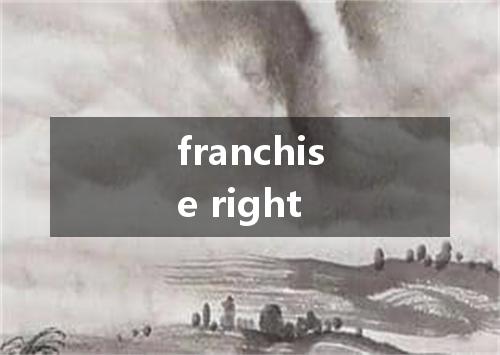 franchise right是什么意思