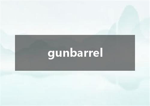gunbarrel是什么意思