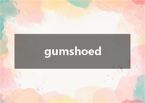 gumshoed是什么意思