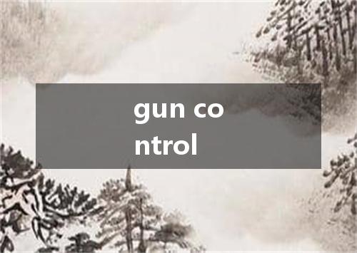 gun control是什么意思