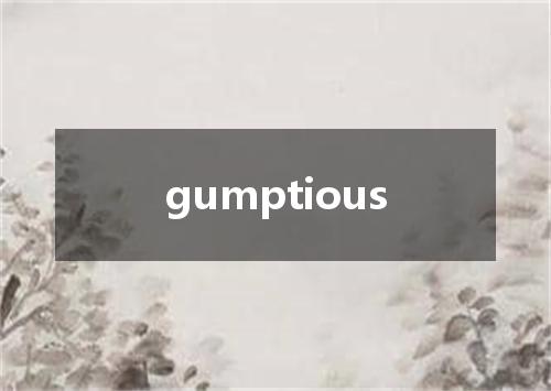 gumptious是什么意思