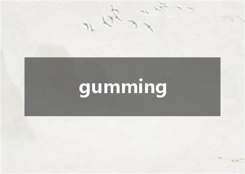 gumming是什么意思