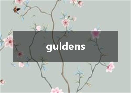 guldens是什么意思