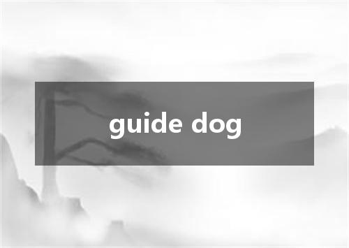 guide dog是什么意思