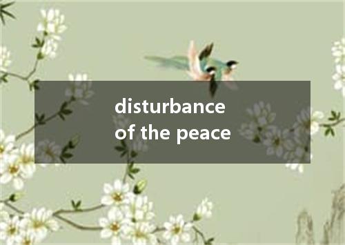 disturbance of the peace是什么意思