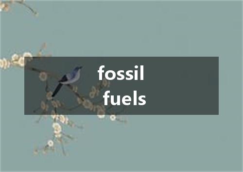 fossil fuels是什么意思