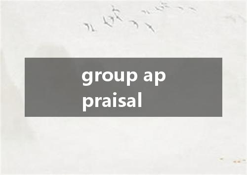 group appraisal是什么意思
