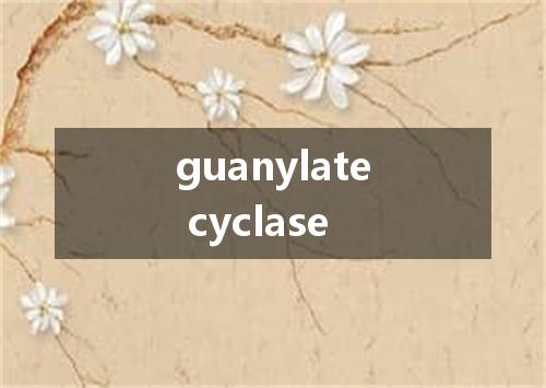 guanylate cyclase是什么意思