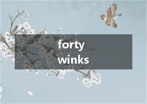forty winks是什么意思