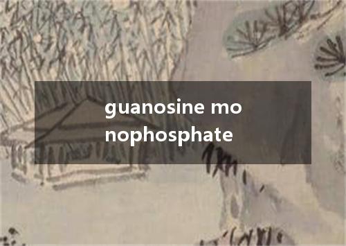 guanosine monophosphate是什么意思
