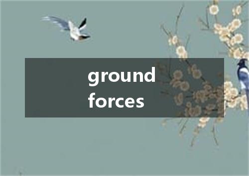 ground forces是什么意思