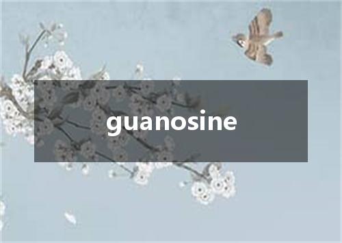 guanosine是什么意思