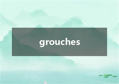 grouches是什么意思