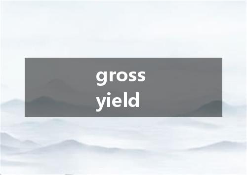 gross yield是什么意思