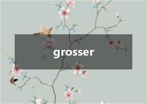 grosser是什么意思