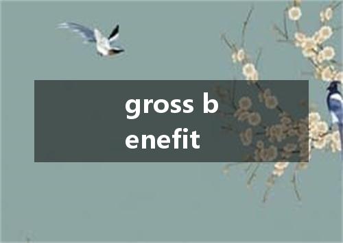 gross benefit是什么意思