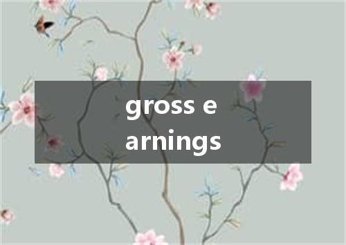 gross earnings是什么意思