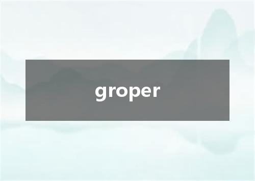 groper是什么意思