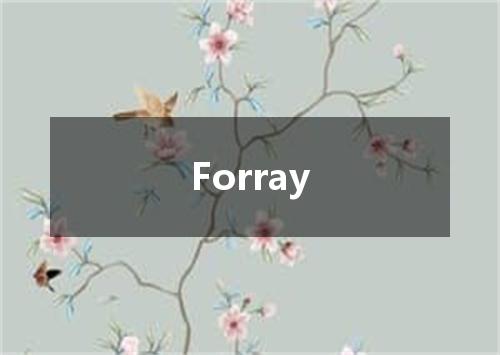 Forray是什么意思