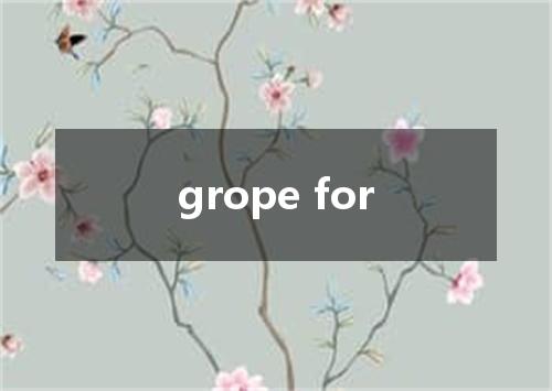 grope for是什么意思