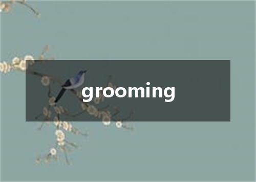 grooming是什么意思