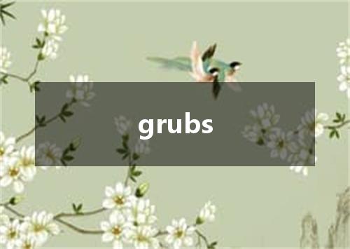 grubs是什么意思