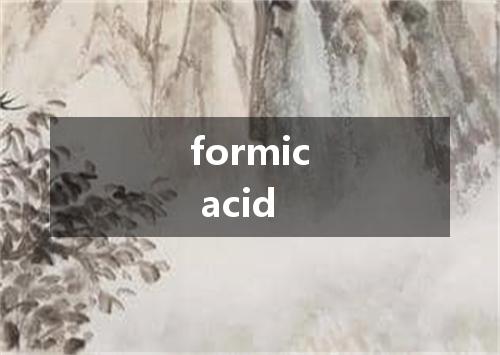 formic acid是什么意思
