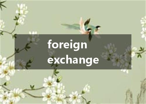 foreign exchange是什么意思