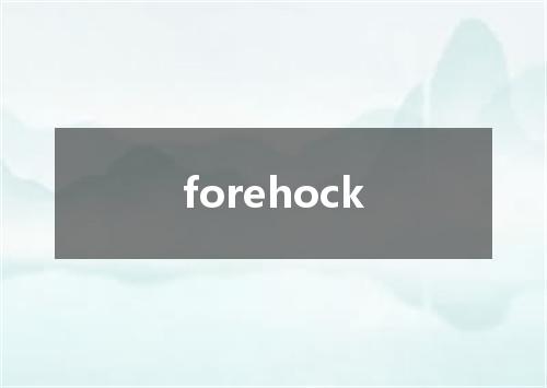 forehock是什么意思