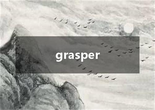 grasper是什么意思